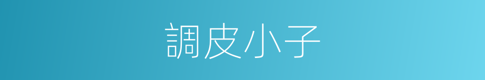 調皮小子的意思