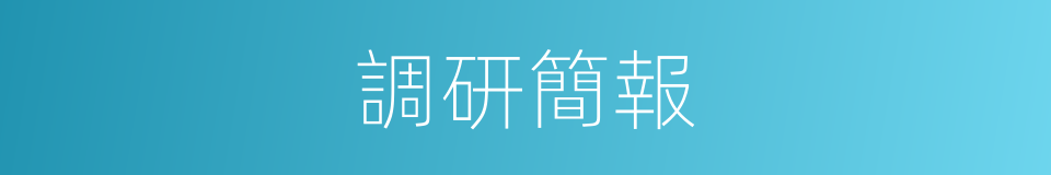 調研簡報的同義詞