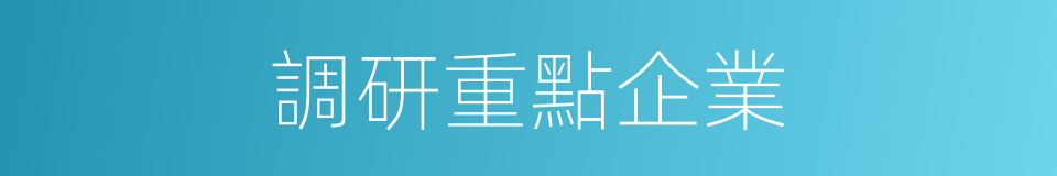 調研重點企業的同義詞