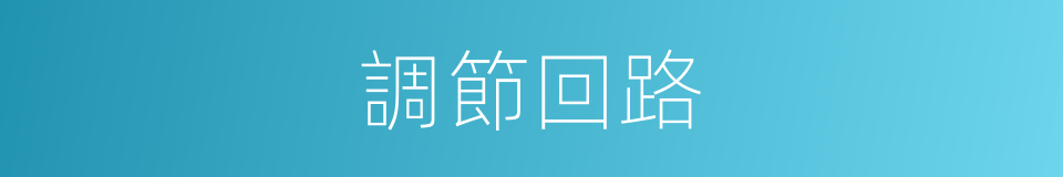 調節回路的同義詞