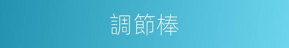 調節棒的同義詞