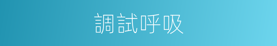 調試呼吸的同義詞
