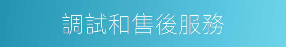 調試和售後服務的同義詞