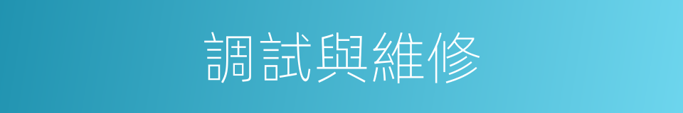 調試與維修的同義詞