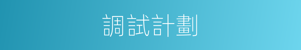 調試計劃的同義詞