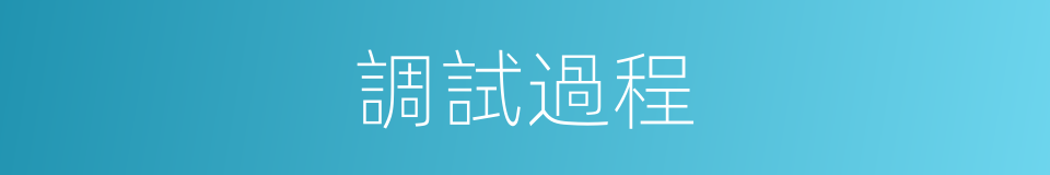 調試過程的同義詞