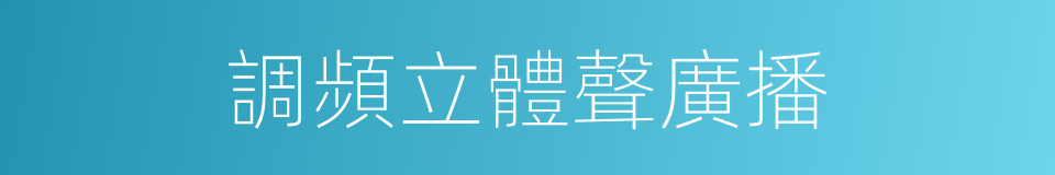 調頻立體聲廣播的意思