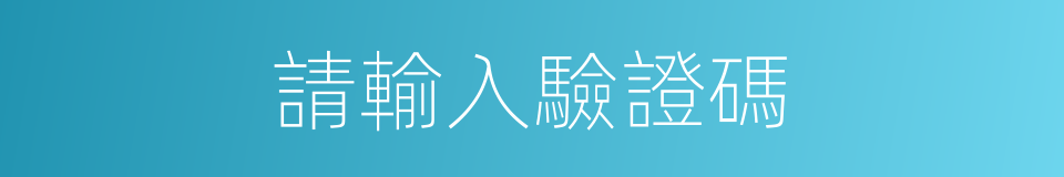 請輸入驗證碼的同義詞