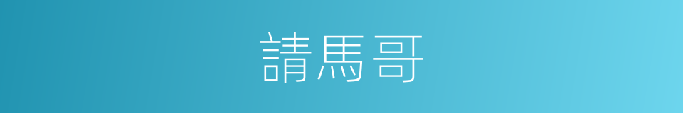 請馬哥的同義詞