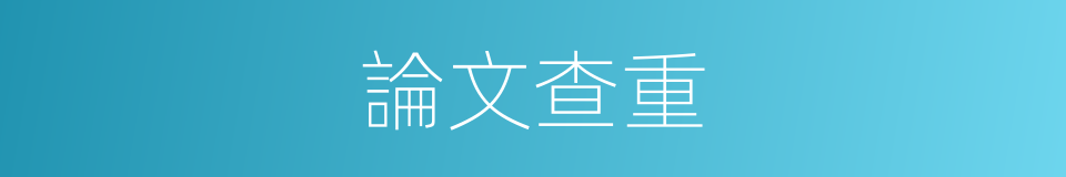 論文查重的同義詞
