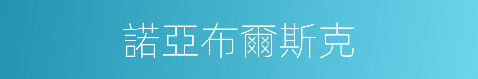 諾亞布爾斯克的同義詞
