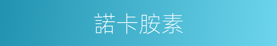 諾卡胺素的同義詞