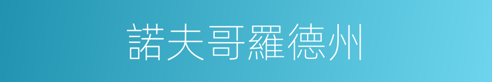 諾夫哥羅德州的同義詞