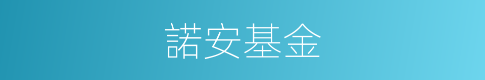 諾安基金的同義詞