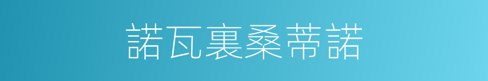 諾瓦裏桑蒂諾的同義詞