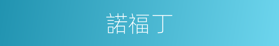 諾福丁的同義詞