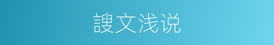 謏文浅说的意思