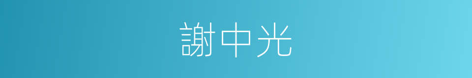 謝中光的同義詞