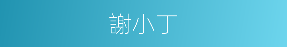 謝小丁的同義詞