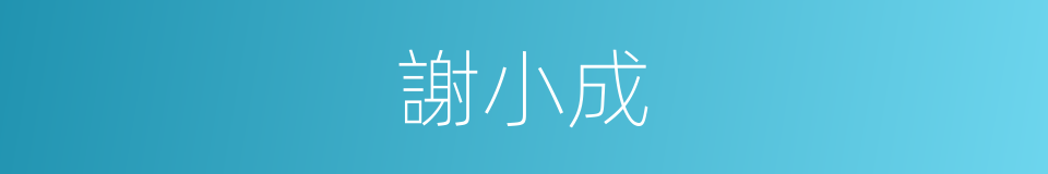 謝小成的同義詞