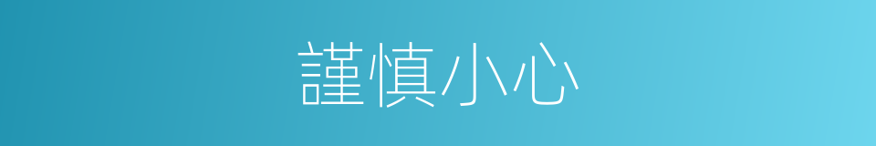 謹慎小心的意思
