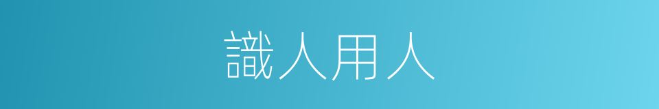 識人用人的同義詞