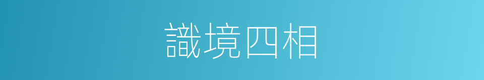 識境四相的意思