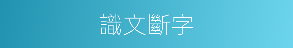 識文斷字的同義詞