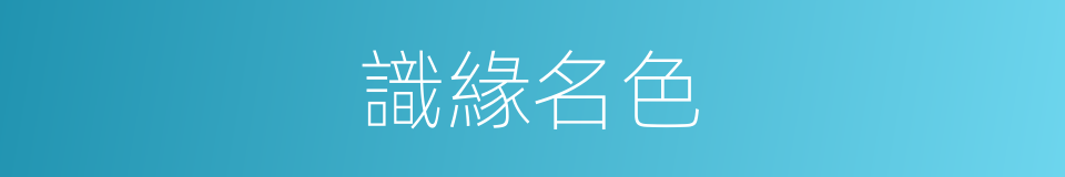 識緣名色的意思