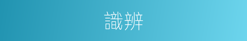 識辨的意思