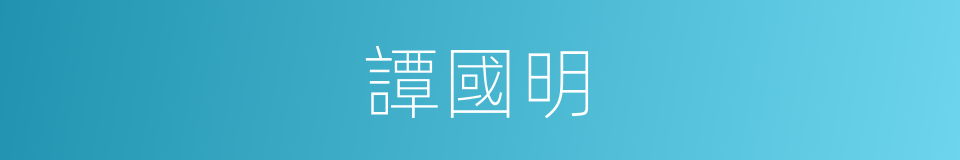 譚國明的同義詞