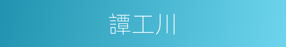 譚工川的意思