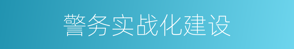 警务实战化建设的同义词