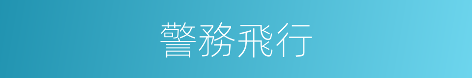 警務飛行的同義詞