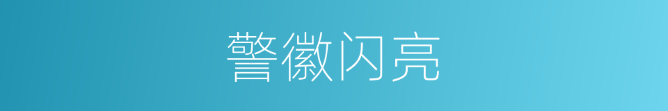 警徽闪亮的同义词