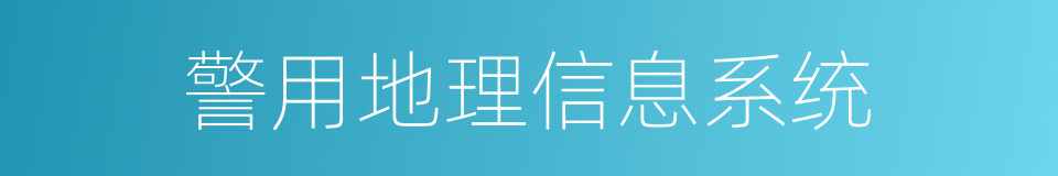 警用地理信息系统的同义词