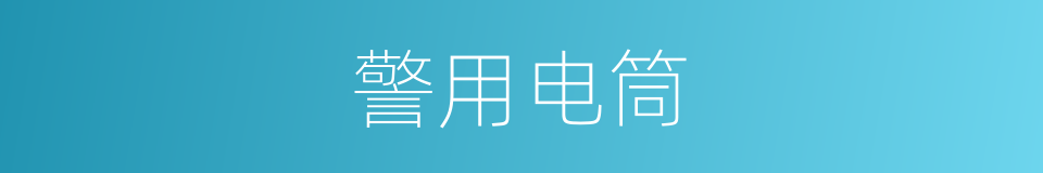 警用电筒的同义词