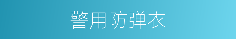 警用防弹衣的同义词
