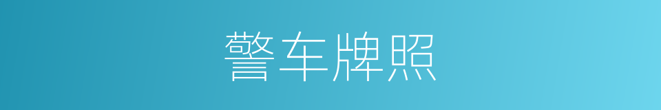 警车牌照的同义词