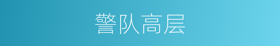 警队高层的同义词