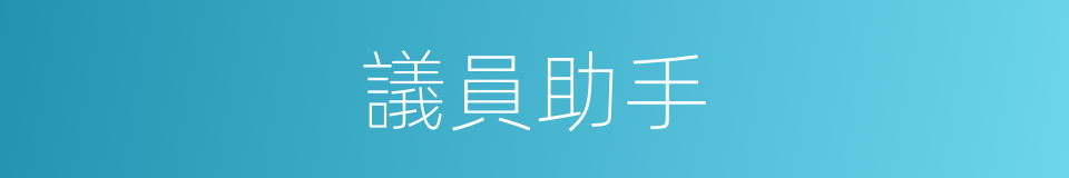 議員助手的同義詞