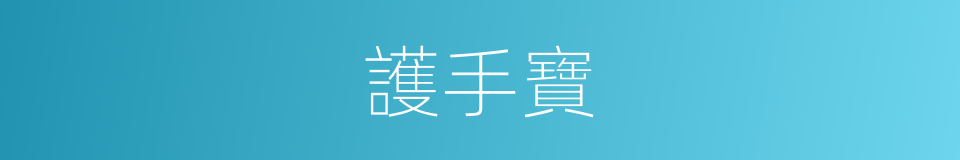 護手寶的同義詞