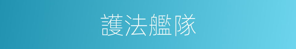 護法艦隊的同義詞
