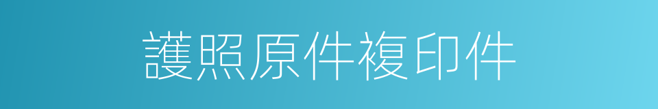 護照原件複印件的同義詞