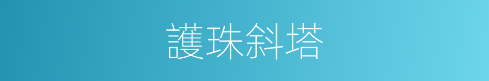 護珠斜塔的同義詞
