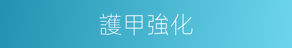 護甲強化的同義詞