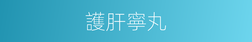 護肝寧丸的同義詞
