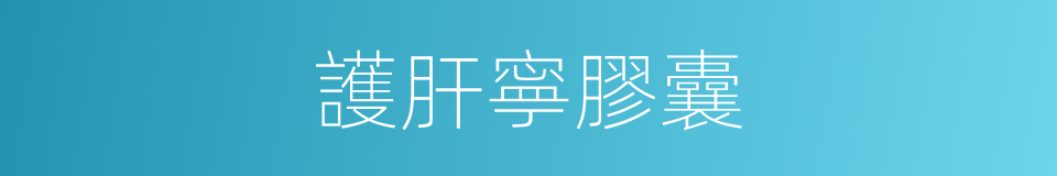 護肝寧膠囊的同義詞