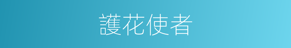 護花使者的意思