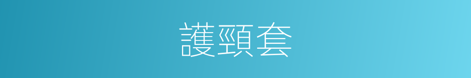 護頸套的同義詞